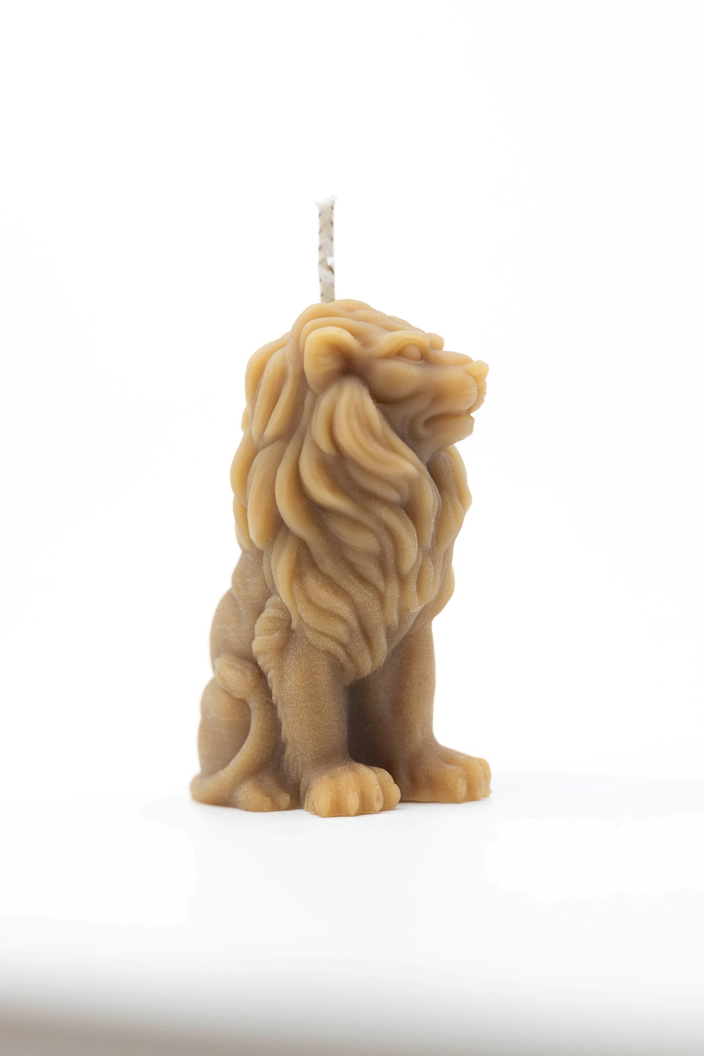 Lion Candle